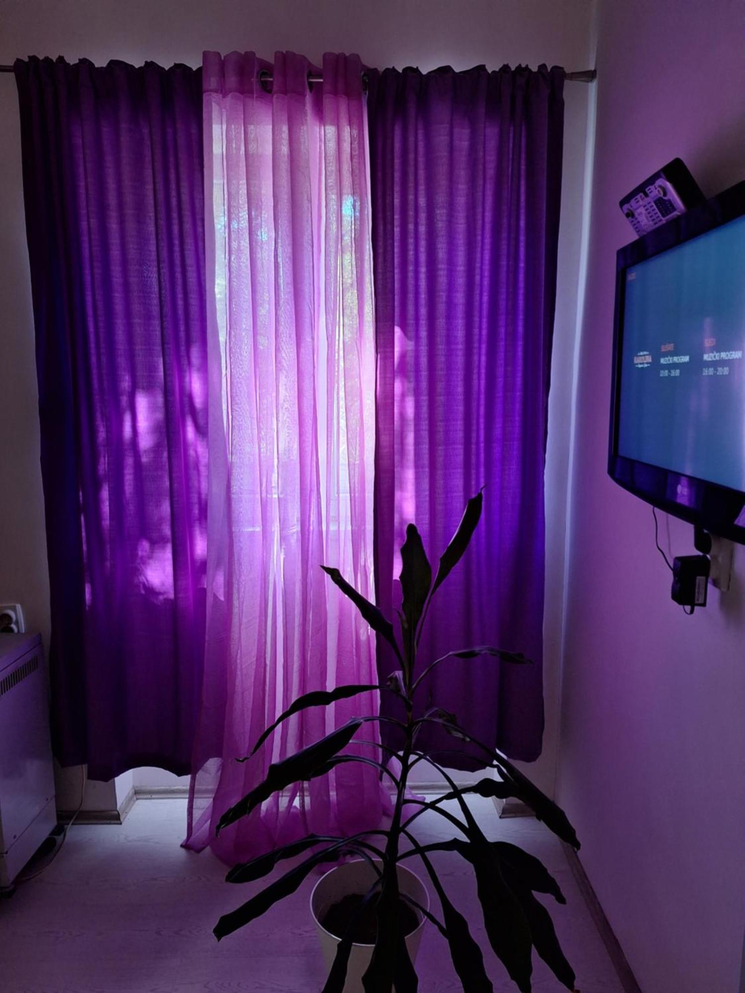 Апартаменти Apartman Maja Белград Екстер'єр фото
