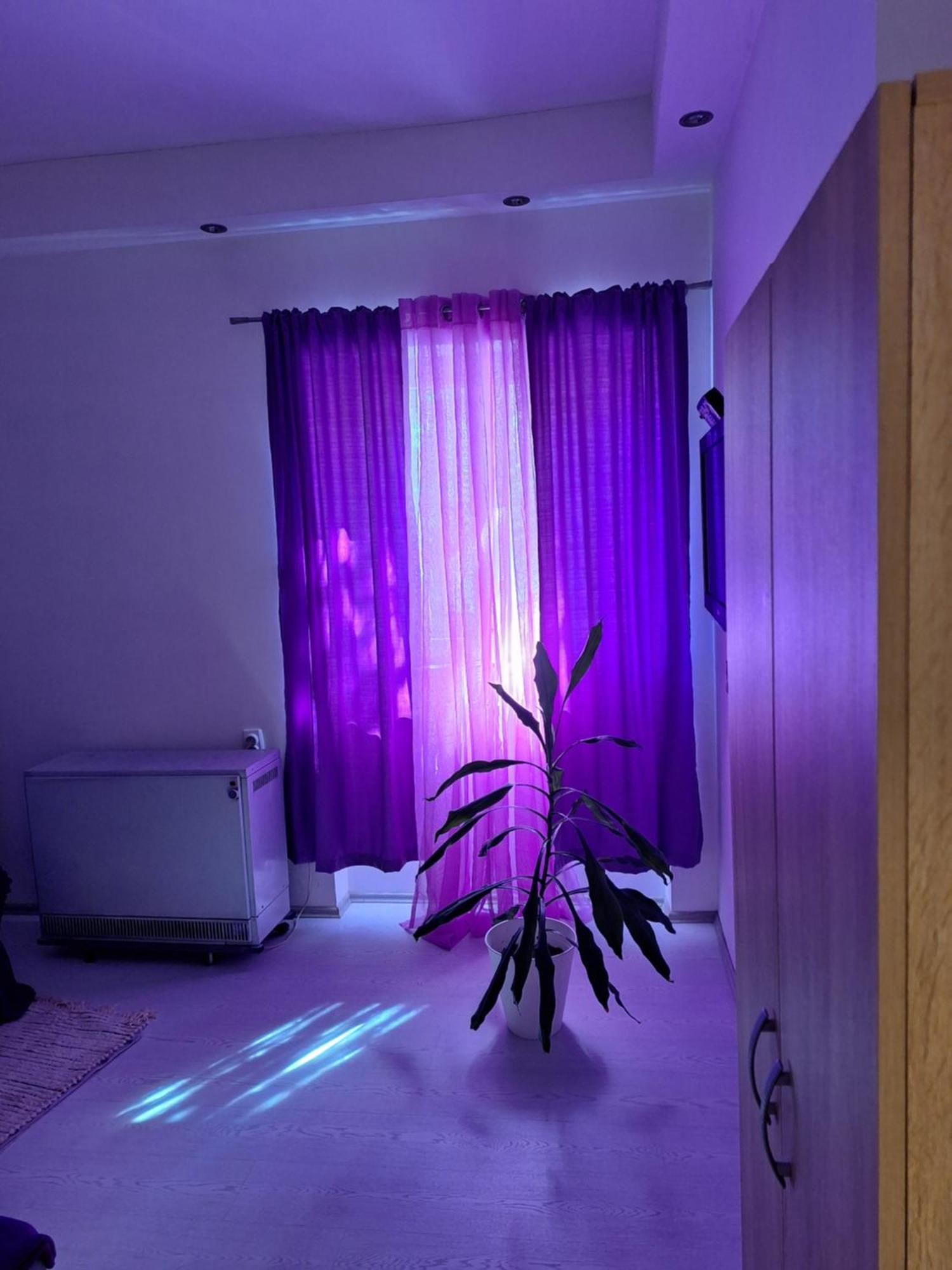 Апартаменти Apartman Maja Белград Екстер'єр фото